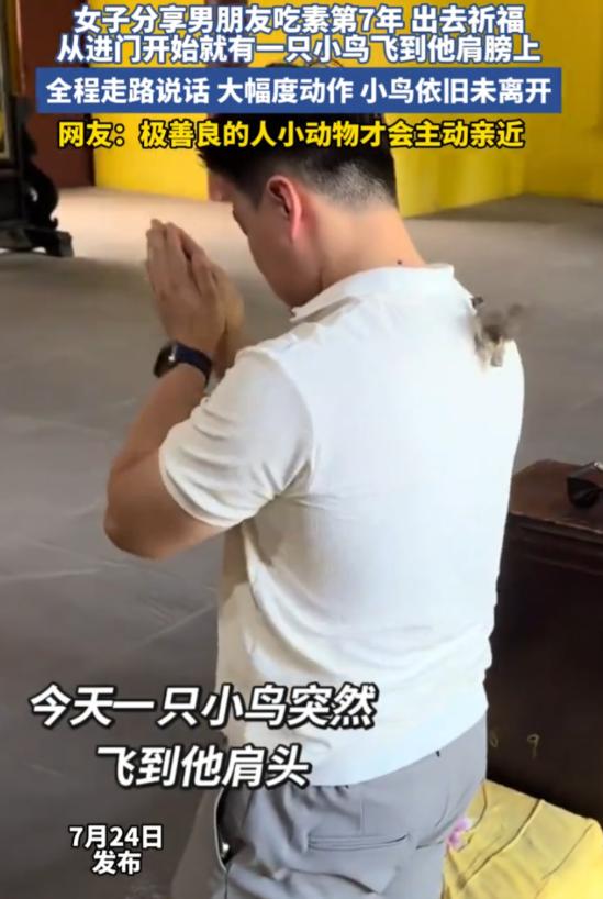 四川成都一对情侣赴寺庙还愿，坚持吃素七年的男子突逢奇缘：一只小鸟主动飞来贴近，全