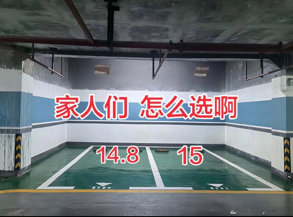 救两个车位只差2000块，到底该选哪个？可以帮他看看吗