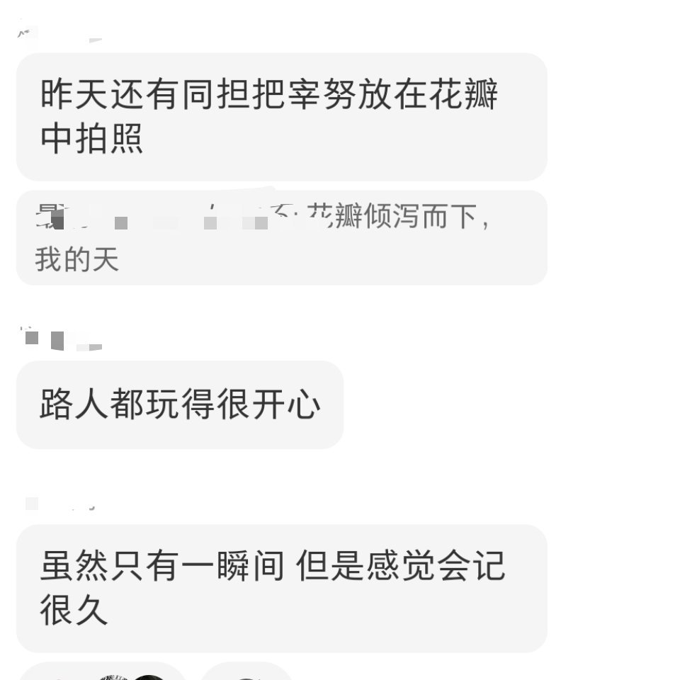 看到这种就会心满意足