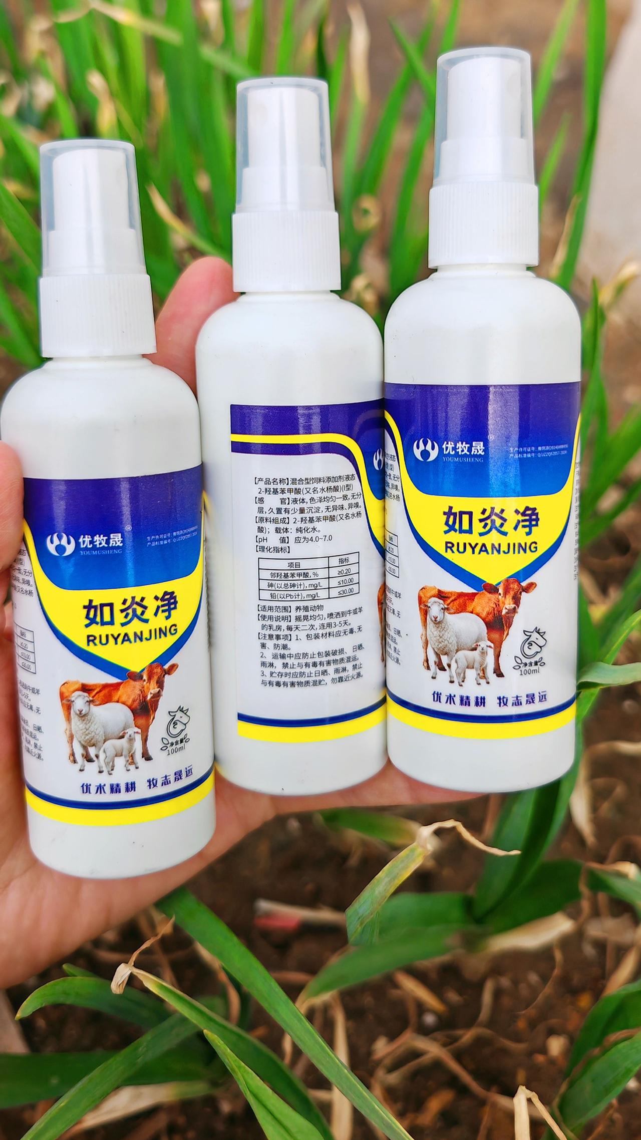 养羊人农村养羊牛羊养殖