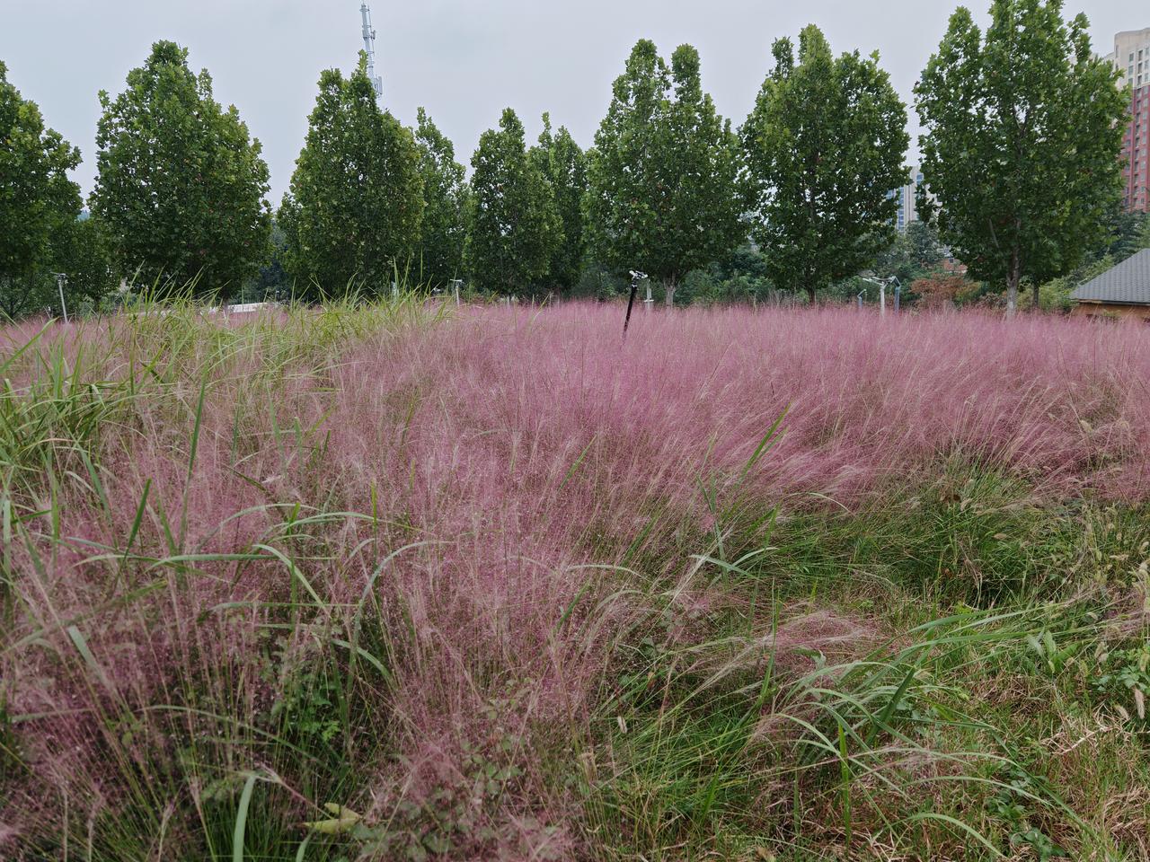 其实属鼠和属兔的婚配没有绝对的好坏！老辈人说子卯相刑，这俩属相性格确实有点不一样
