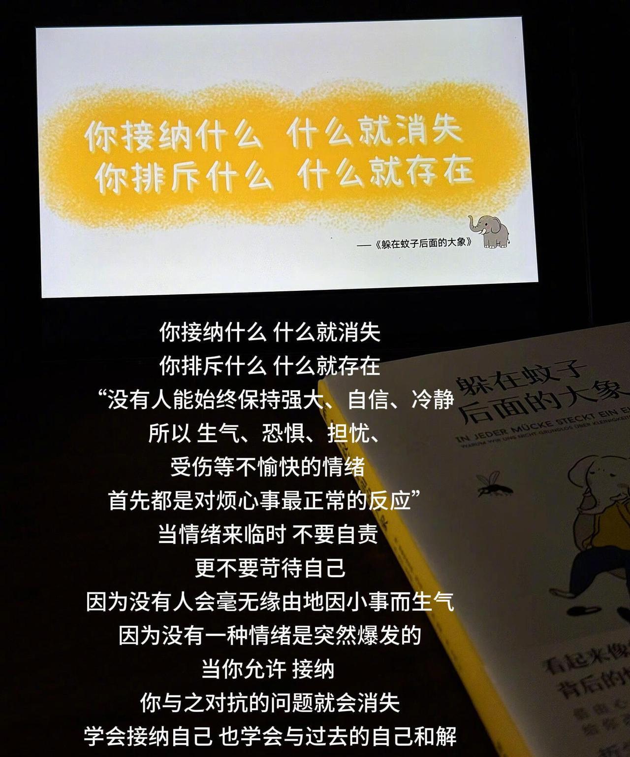 “你接纳什么什么就不再困扰你”