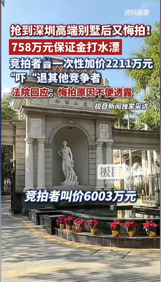 “七百多万打了水漂？”4月29报道，广东深圳，一高端别墅被法拍，刚开始很冷清，无