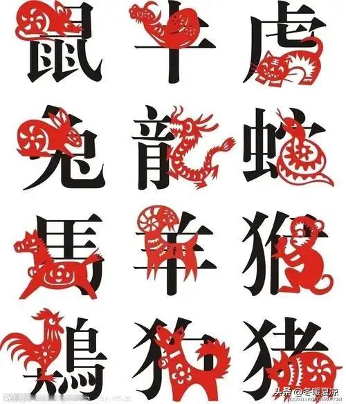 十二生肖会越活越年轻吗其实人生最顶级的冻龄。从不是昂贵的护肤品。而是通透的