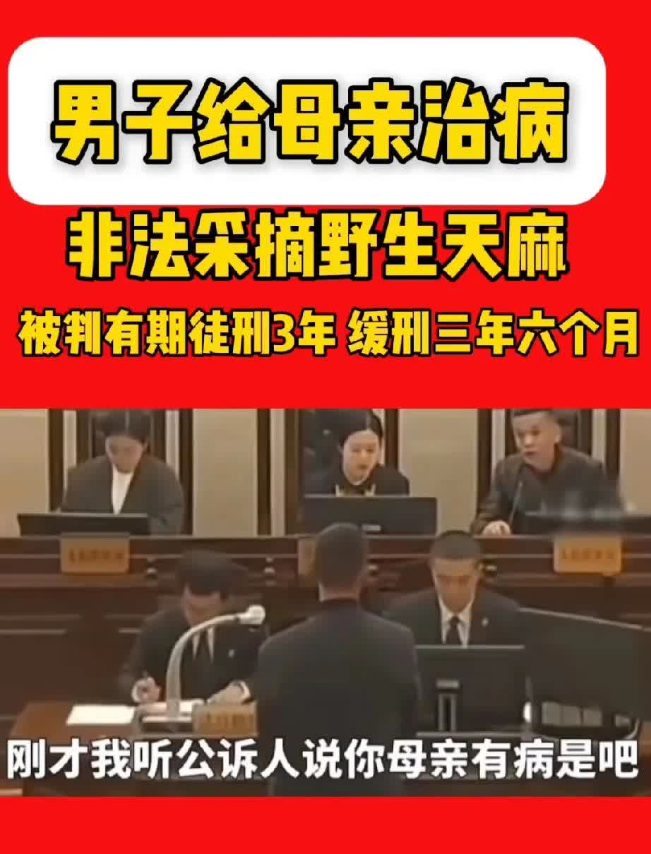 一男子因为给母亲治病，采摘了野生天麻，被判了！天麻主产于湖北、四川、云南