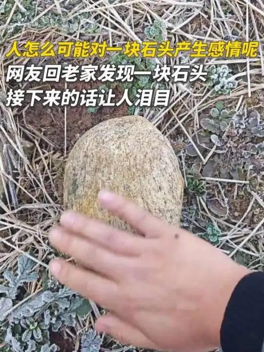 破防了！安徽合肥，一男子回老家过年，在打扫卫生收拾房间时，突然在厨房里发现了一个