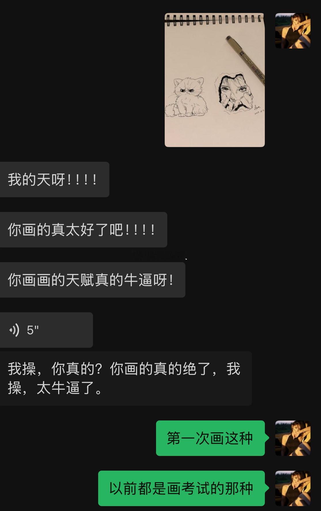 画画不就是为了装逼吗[doge]​​​