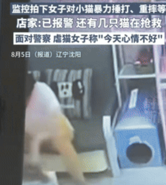 “严惩到底！”辽宁沈阳，一猫咖店员巡看包房监控时，发现一女子在虐猫，店员紧急冲进