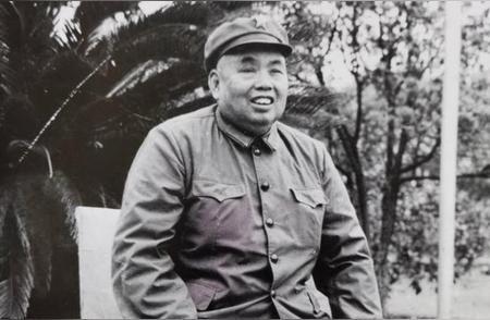 1985年,80岁的许世友上将来到济南,他想去祭奠济南战役中牺牲的华野九纵烈士,