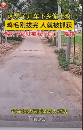 丢人呐！安徽，2男子开车到农村，用弹弓打了两只大公鸡带回家，没想到晚上就被民警找