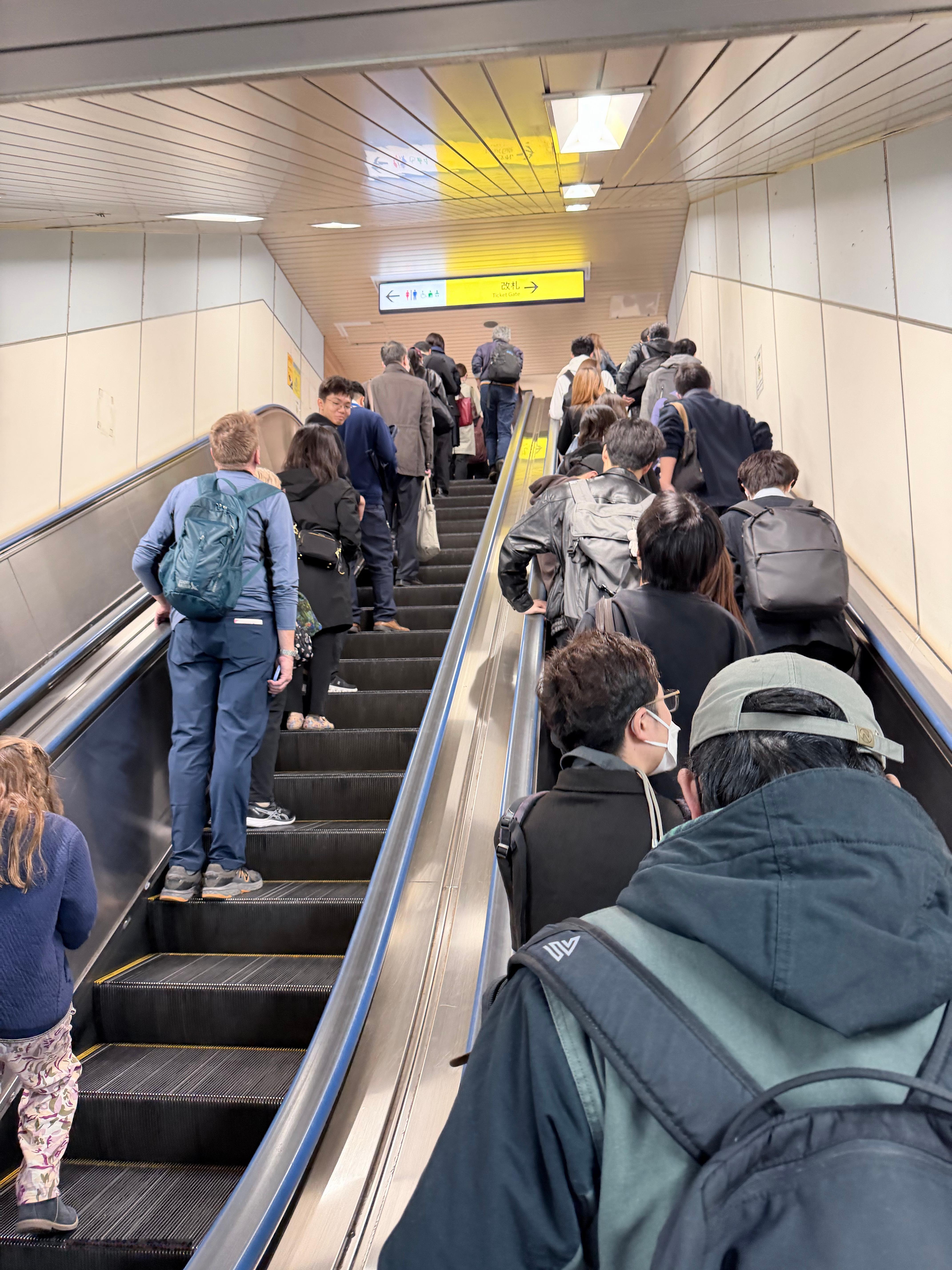 人到了日本，真的会不自觉的有礼貌坐地铁都自动排队了[哭哭]​​​