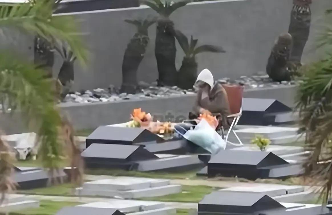 具俊晔再次圈粉了，通过两件事大家对他另眼相看，年近六旬的他，大冷天去祭拜大S，磕