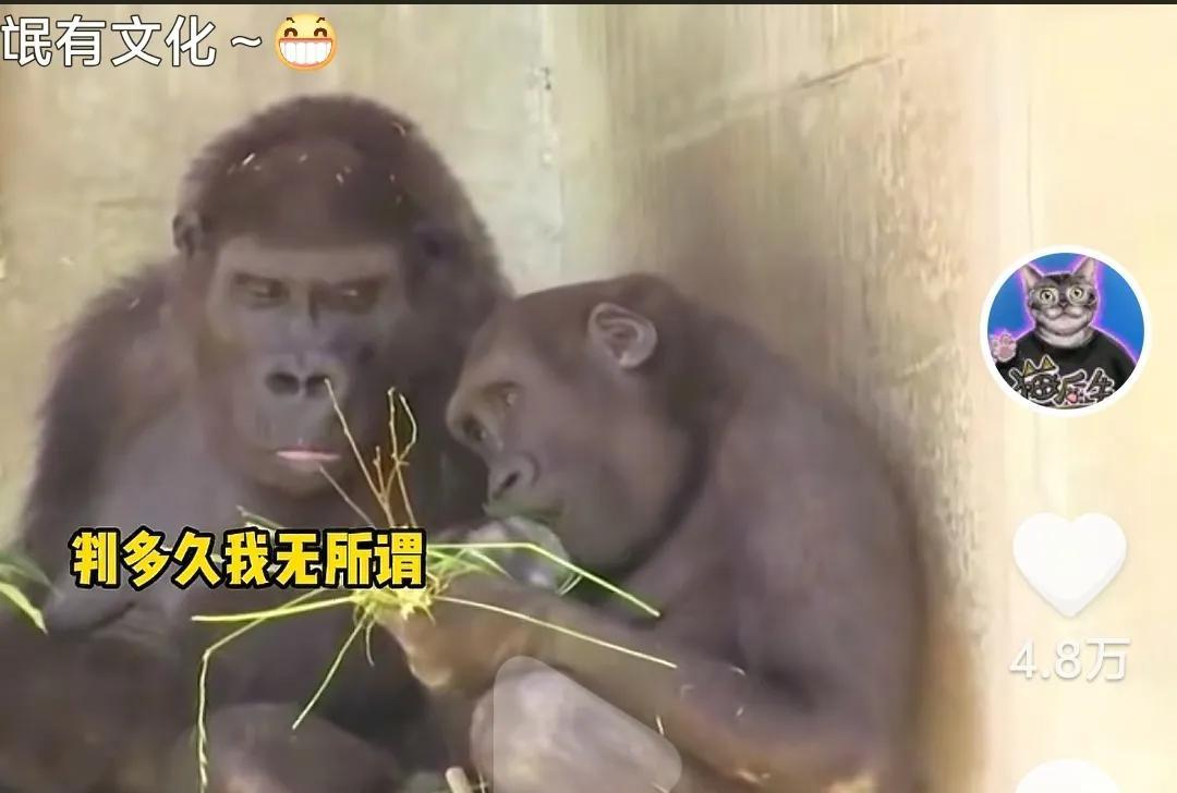 有“网友”对释永信事件发出了“灵魂拷问”：他判多久我无所谓，违纪问题我也不关心，