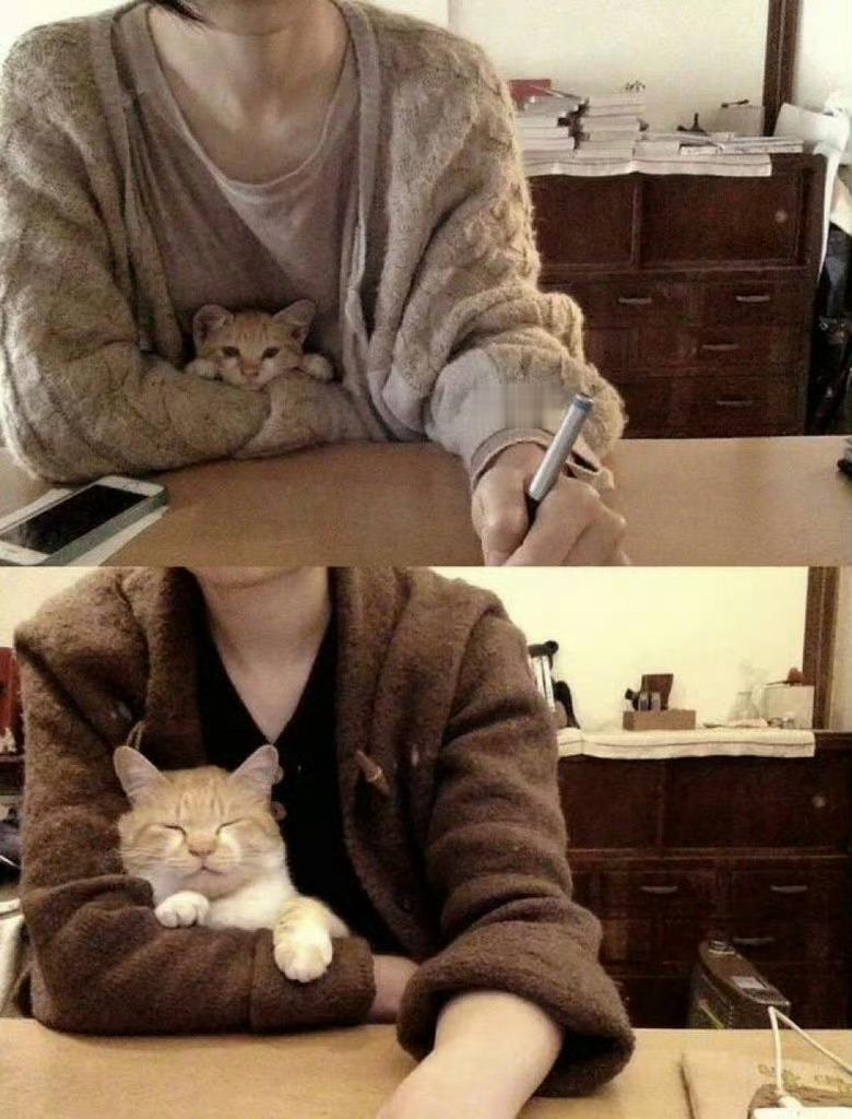 猫咪长大了[抱抱]​​​