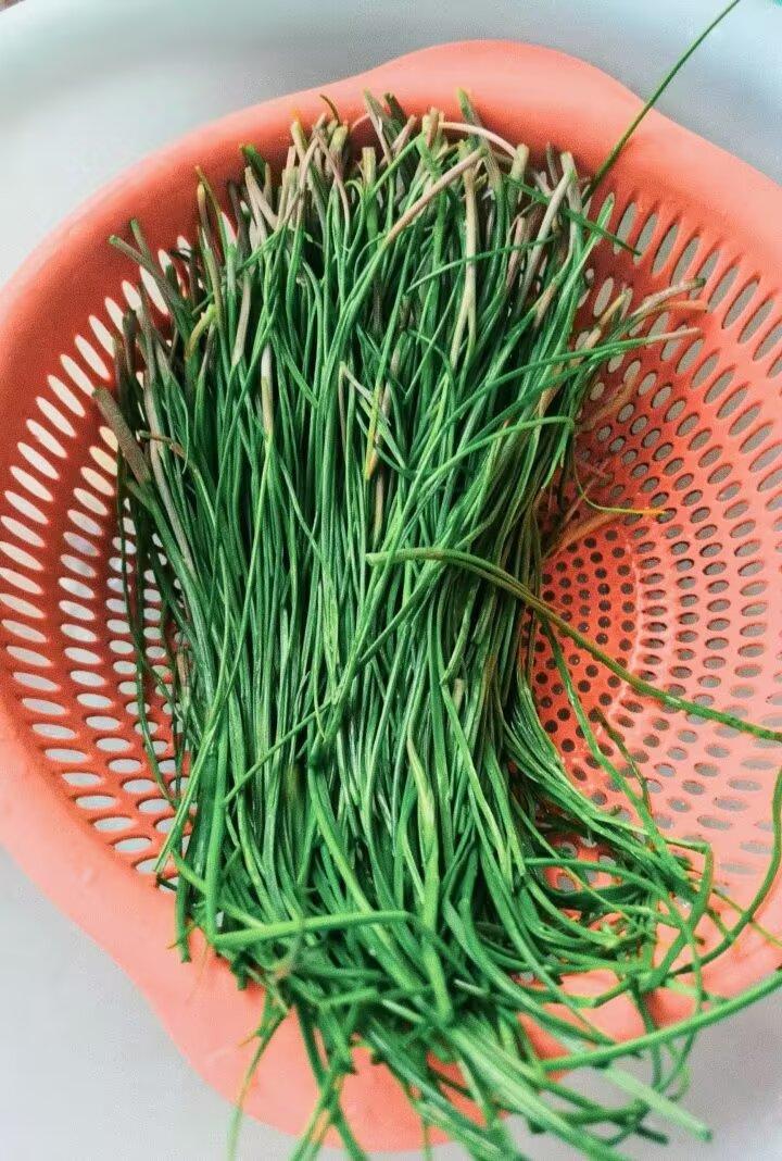 小蒜春饼，不知你吃过没有？正当时……江南一带的人其实也