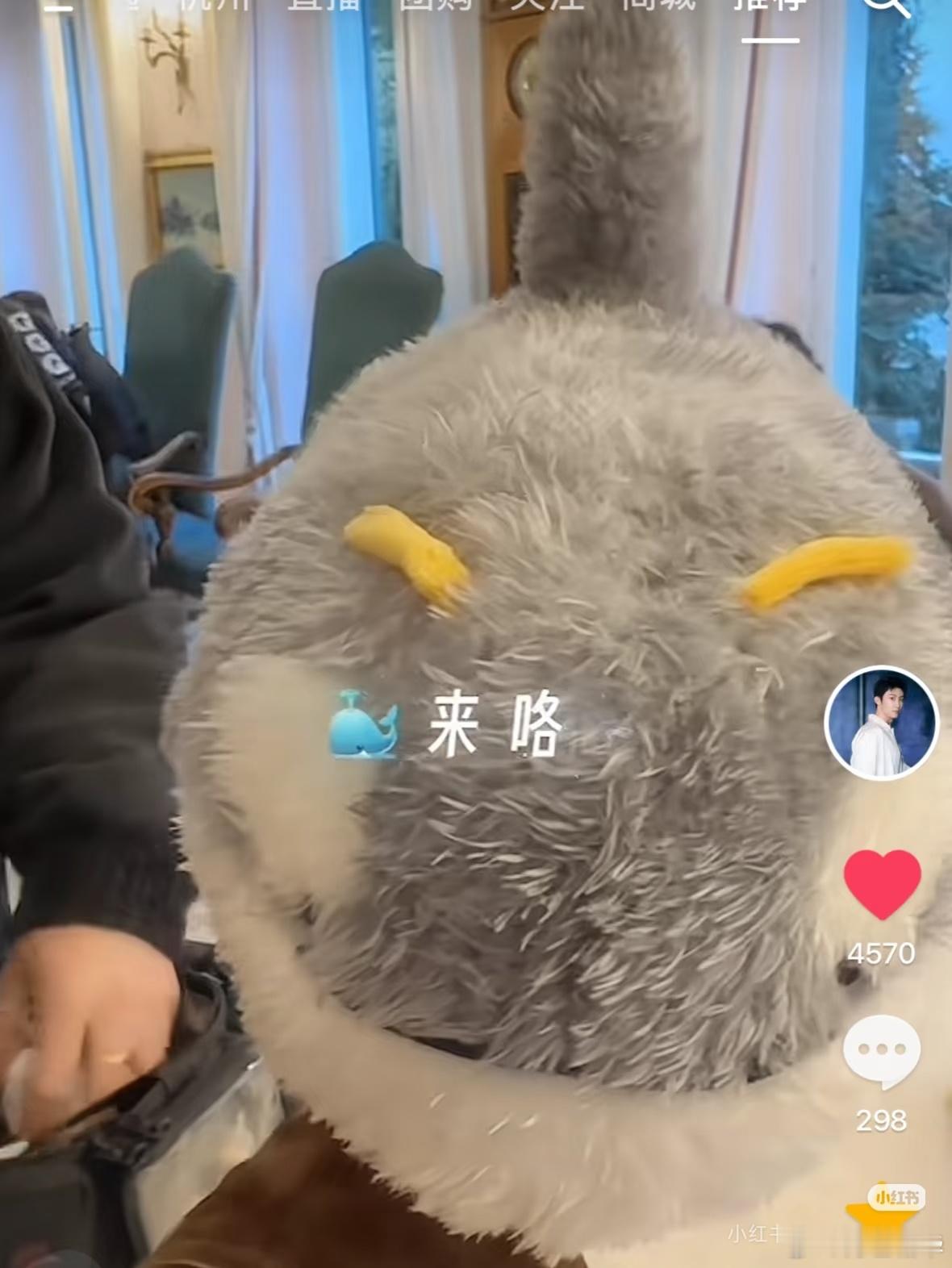 这个不会是腹肌鲸鱼吧，看着好可爱。