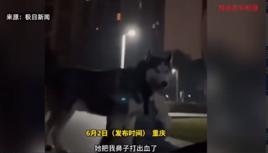 “必须严惩！”2月24日，重庆，一男子在小区里发现两个女孩遛狗不牵绳，便上前提醒