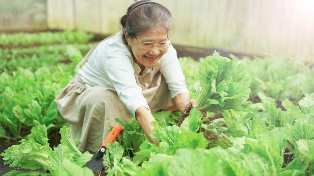 雨水后, 打死不要买这“4种”蔬菜, 没营养伤身体, 菜贩子都不吃