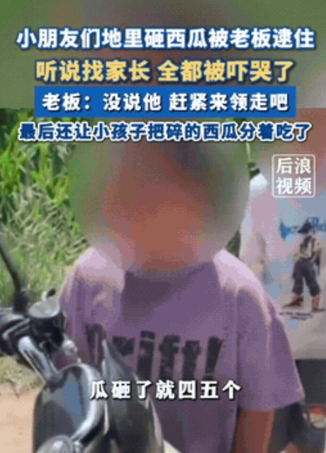 “笑不活了！”浙江，一男子到瓜地里干活，竟在瓜地里发现4个“小毛贼”，几人不偷西