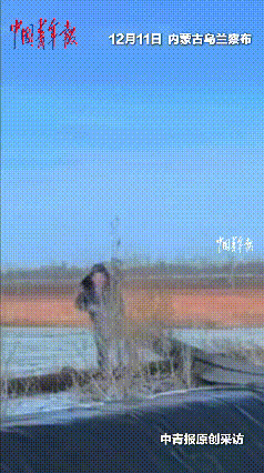 “科学解释不清了！”内蒙古，一只野生狐狸意外掉入10米深坑，当救援人员放下长布时