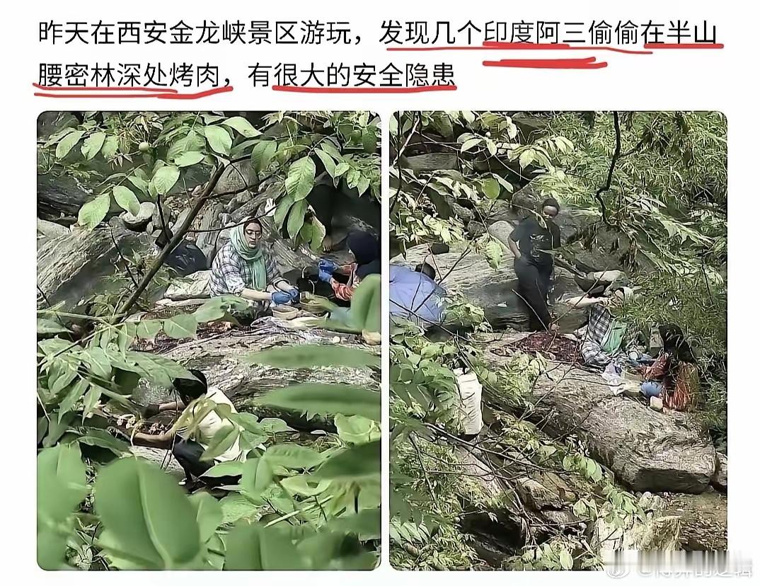 胆大包天！几名印度籍游客躲进西安金龙峡半山腰的密林深处，偷偷生起明火烤肉，专挑枝