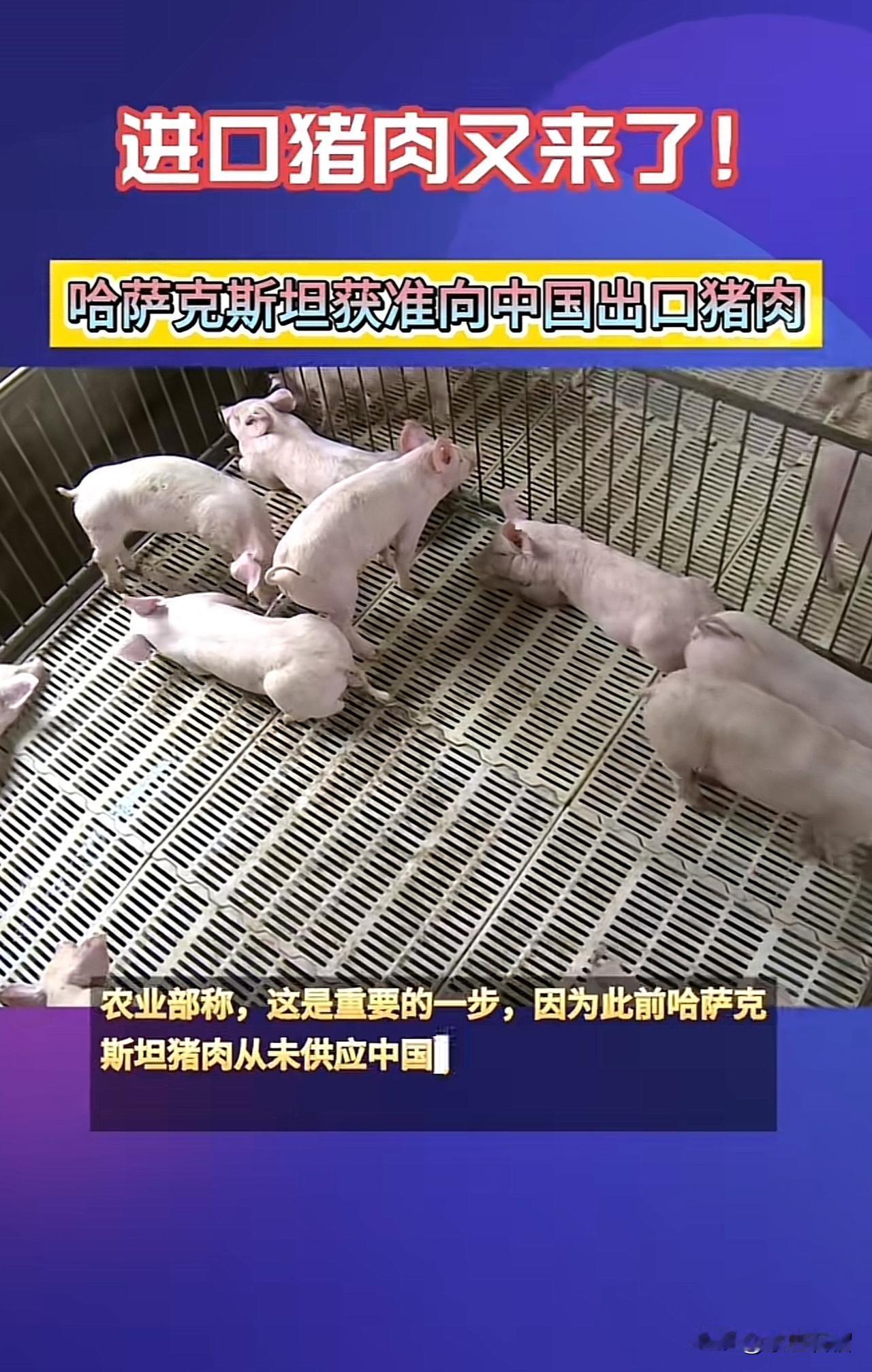 重磅消息！重磅消息！猪肉市场要变天了！近日，哈