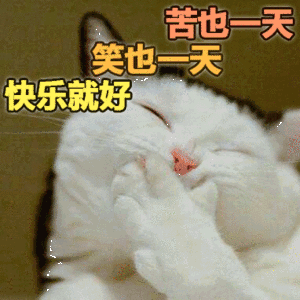 【让人变快乐的8个微习惯】硬核研究所目前已知的与“快乐”密切相关的“情绪激素”主