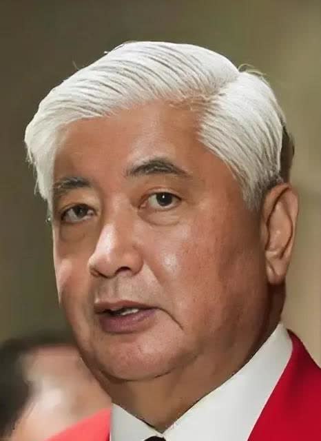 不怀好意！日本刚刚宣布8月19日，日本防卫大臣中谷元将要现身土耳其，