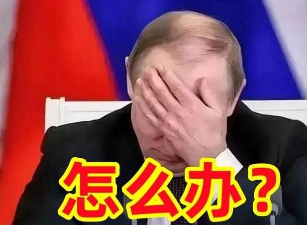 早知现在何必当初呢！说句实话，俄罗斯可以武力教训一下乌克兰，让乌克兰知道疼。