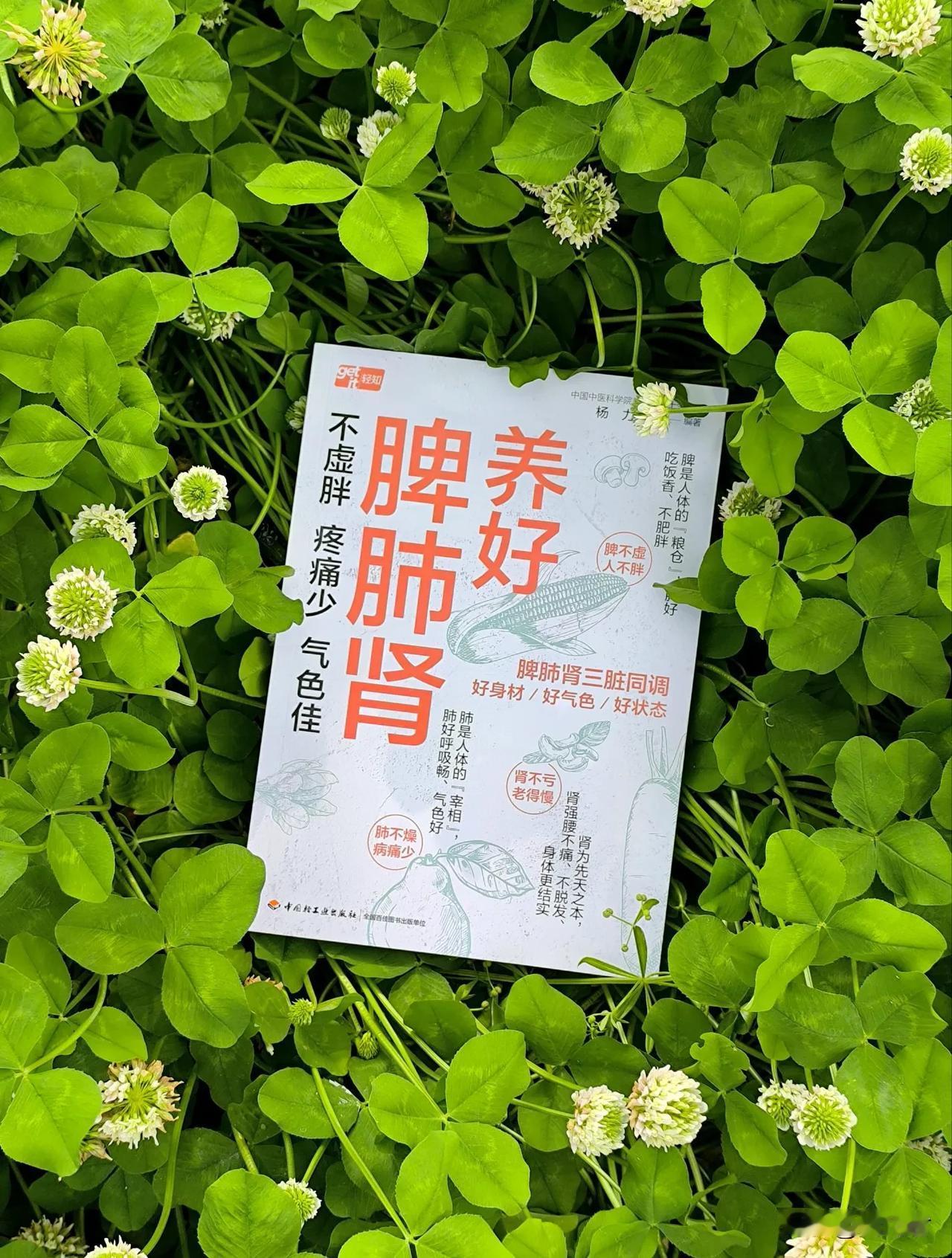 中医养生：虚胖在脾，易生病在肺，疼痛在肾今天读了一本杨力编著的《养好脾肺肾：