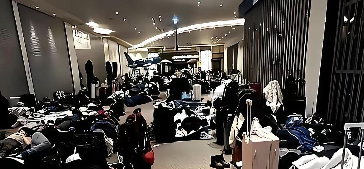 笑不活了！北海道机场那波滞留游客的视频，直接把网友看乐了！一群平时光鲜亮丽的大老