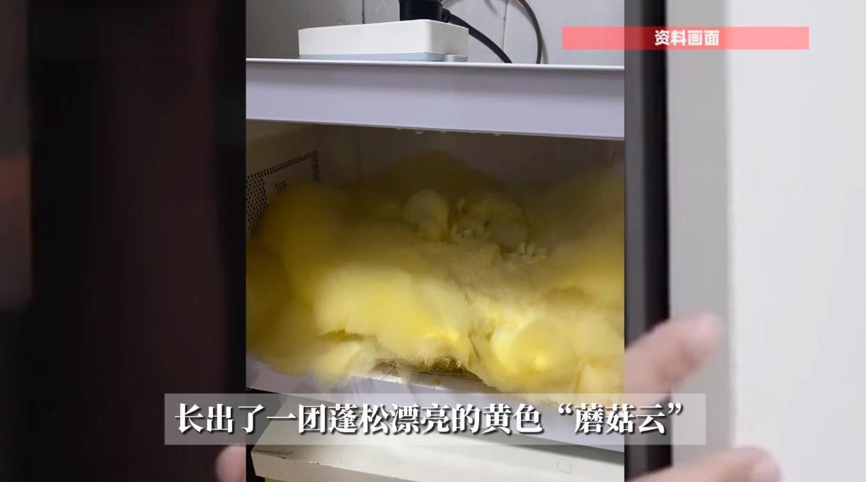 “活久见！”近日，天津，一女子发现自己家里的微波炉中，突然长出了一团黄色“蘑菇云