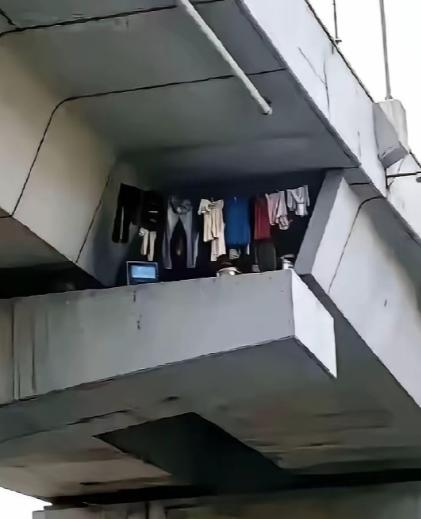 重庆一名男子搭乘01路公交行驶在城市高架桥上，偶然抬头看向大桥混凝土夹层，当场被