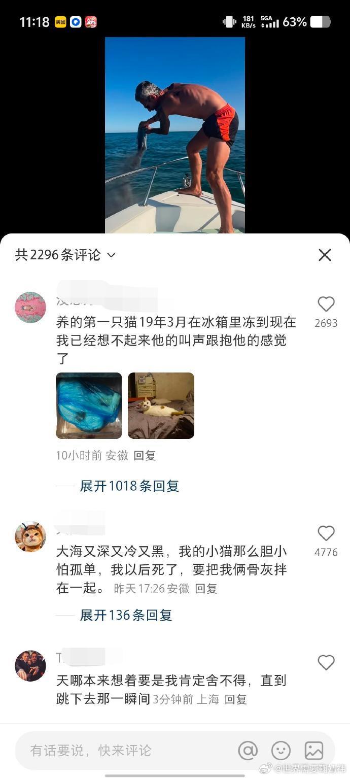网友冰冻猫咪
