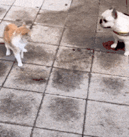 哎碰瓷儿是不是？是不是碰瓷？大家可都看着呢啊监控也开着呢