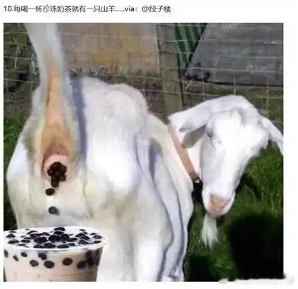 大家今天喝奶茶了么