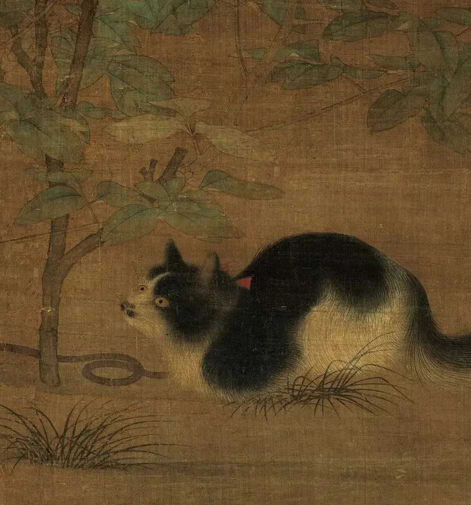 宋佚名《富贵花狸图》，台北故宫博物院藏。画中花园盛开的牡丹花下，一只黑白相间的