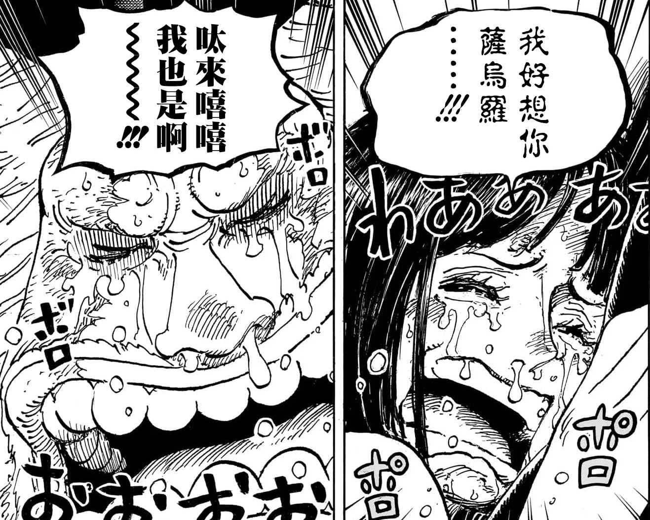海贼王海贼王今晚大家不见不散