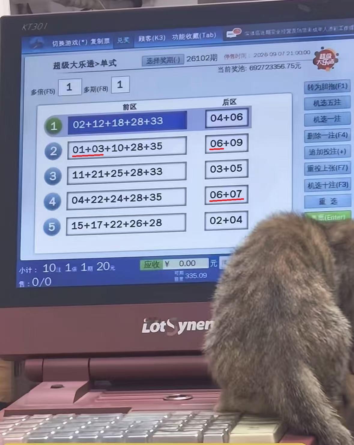 萌猫“选号”出圈！彩票店猫咪意外打出两注七等奖。都说人比人，气死人，可你见过