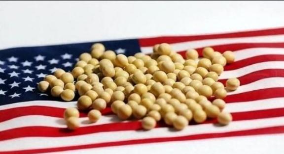 美国大豆为什么非要卖给中国？其实，站在美国的角度，三年不卖给中国大豆，扩大国内内