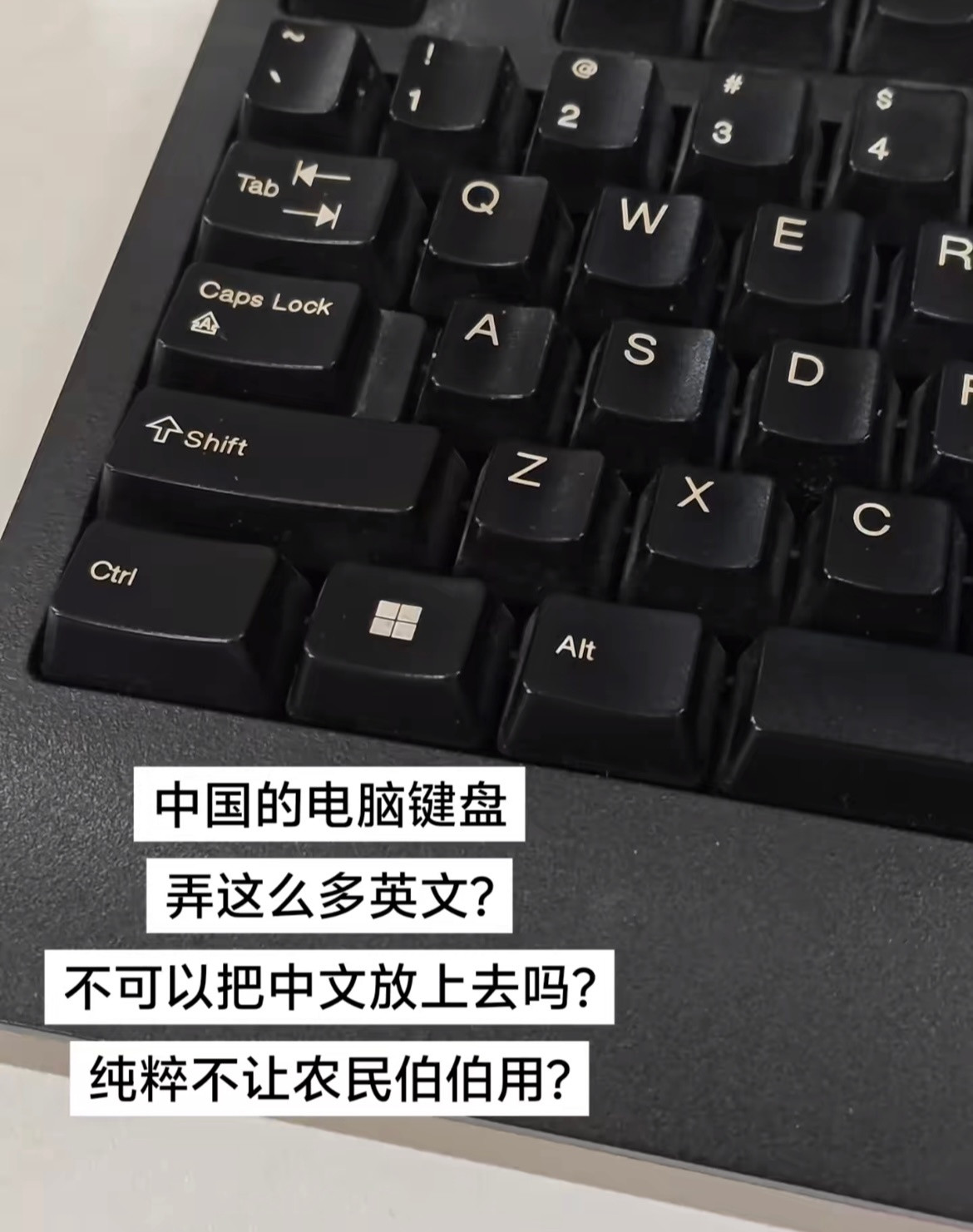 真放了你又不乐意了🤣👌​​​