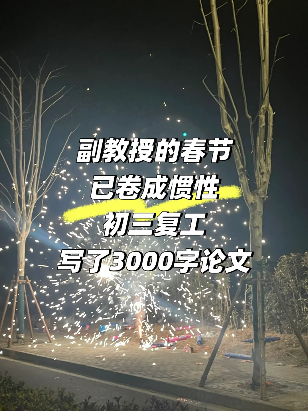 虽然论文、基金都有了，接下来就是攒够论文评正高就行了。但是这个寒假还是...