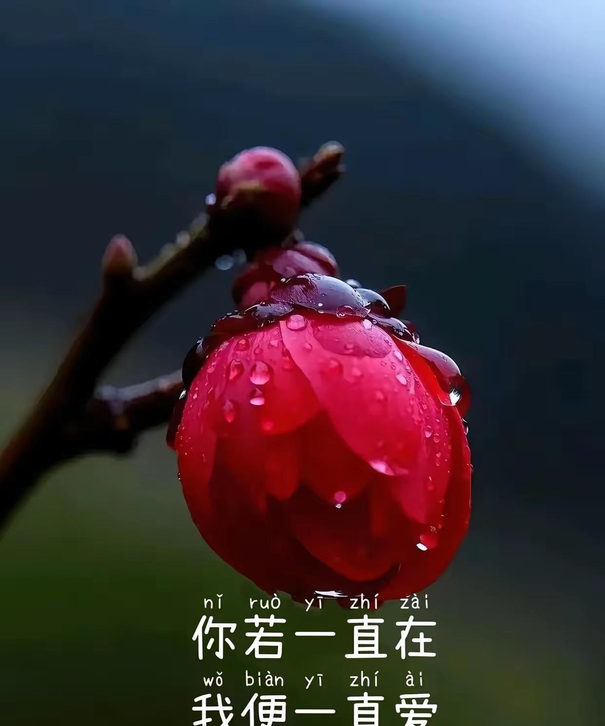 傻瓜，我想通了，我不求结果，我只要过程，至少现在还有你的陪伴就足矣！茫茫人海中