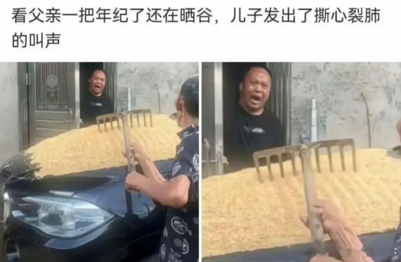 6403生动形象