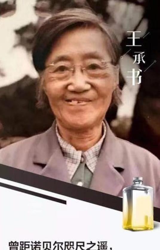 1960年，北大才女王承书狠心抛弃丈夫和孩子后不辞而别，从此音信全无。17年后，