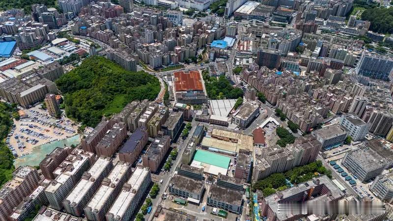 深圳龙华商业中心旧改，总建面约161万㎡，被划分为五个片区同步推进。幸福城臻园所