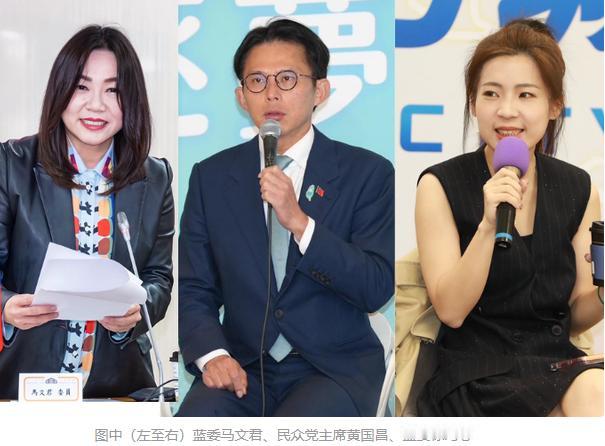 国民党在岛内被边缘化了整整二十年，三次大选输得底裤都不剩，结果郑丽文去大陆玩了六