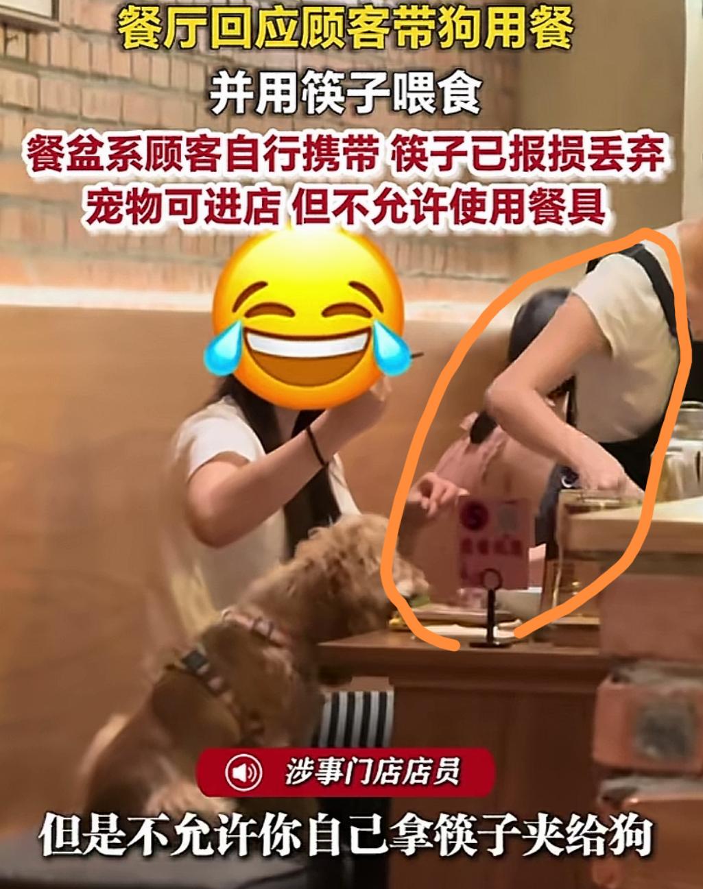 养狗之人在一步步试探大众底线！9月14日，重庆一烤肉店，宠物狗又上桌吃饭了，被