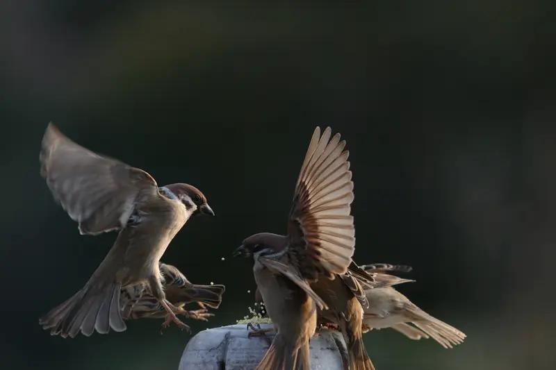 夫妻过日子，哪有不磕磕绊绊的。不怕吵架，就怕吵完不说话；不怕意见不合，就怕谁也