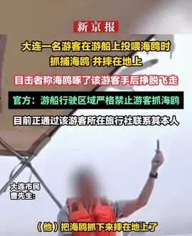 男子抓海鸥肯定是不对，需要按照相应的规定进行惩罚；但从拍摄的视频看男子也没有伤害